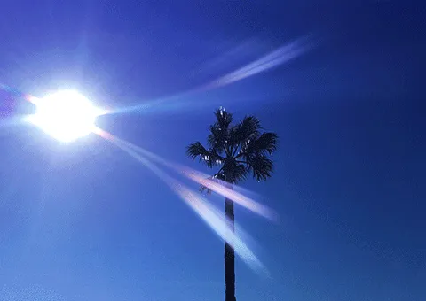 Item #59132355562186324700850821844442436394047262304885251221794294022701129400321 Media