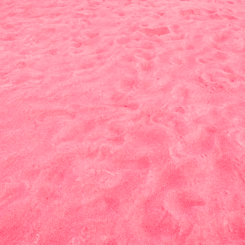 98843954857266856101330559780238873570552098425130206222908041909902659026945