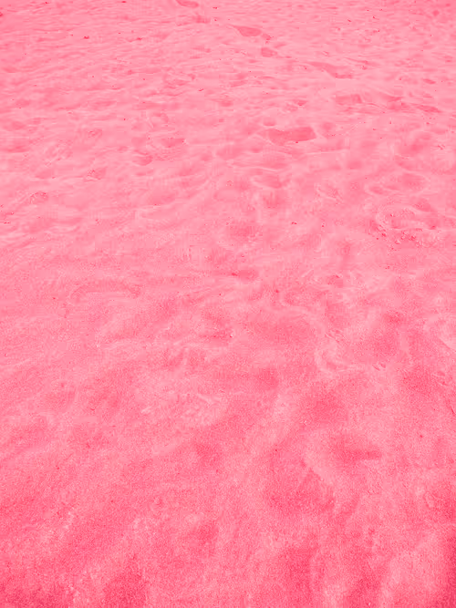 Item #98843954857266856101330559780238873570552098425130206222908041909902659026945 Media