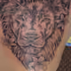 16618738114346914127219060499717801535161246505766705550572350507328389251073