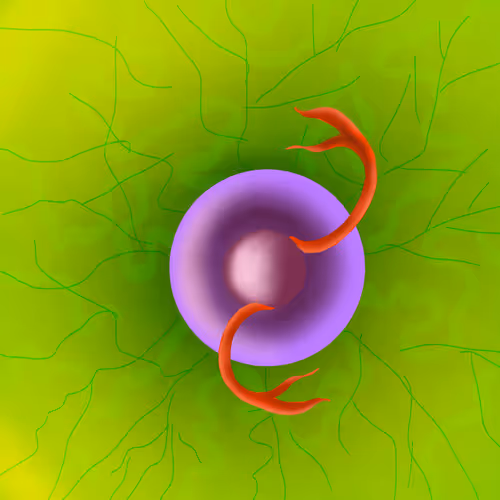 Item #40923030489634136455712028555760164488573693956163397073180493053236569178113 Media