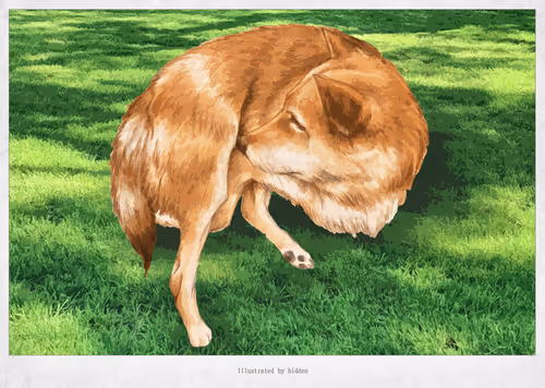 Item #31862423316013544672112958943537902323768601419378833813327842258449778868225 Media