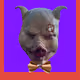 43611548141407519879911017181650845324484260882909911939077050437703007469569