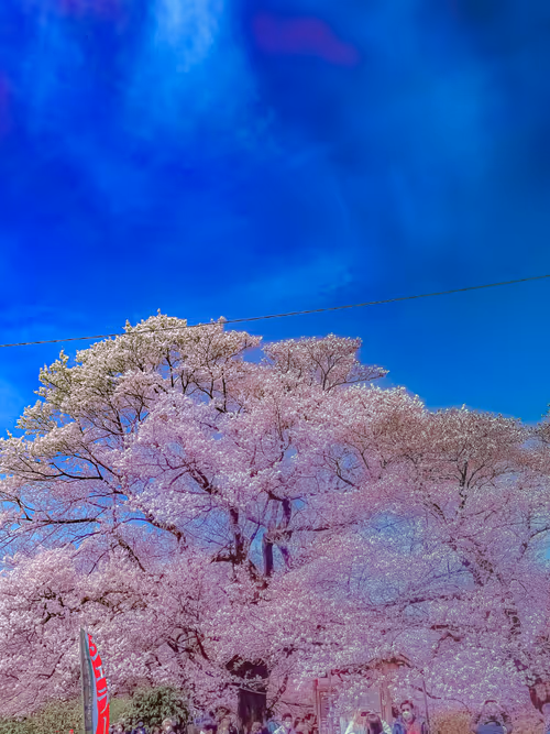 Item #26309083901545567454709889211670292098627789932924015051489478909697401552901 Media