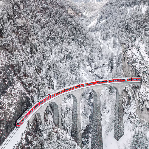 Untitled Collection #46604967