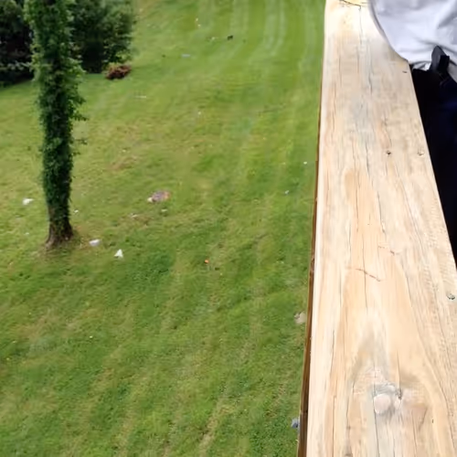 Howl_Clever Collection