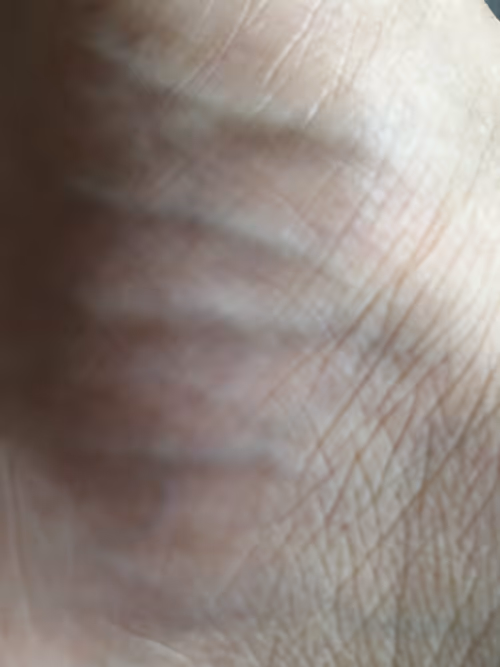 Item #96040857621548623282326574939458097993481777898920525483742573536199000981505 Media