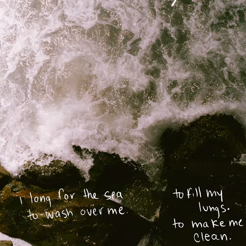 Item #94522315458066235172106531625010025952964555546866048956582119495493144805377 Media