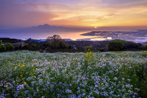 Item #20204709267348757771630976275422763680184380417217004683909412278292700987393 Media