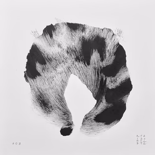 Item #87368348536975332333645058037990373278500397313615538842159321337482419634179 Media