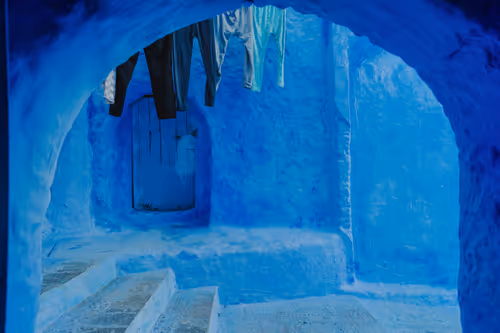 Item #83726278856129117557846888816817317524894740367003960358479558587882632380417 Media