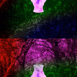 Open your Mind