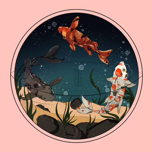 Koi Sakana #1