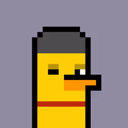 Duckie #378