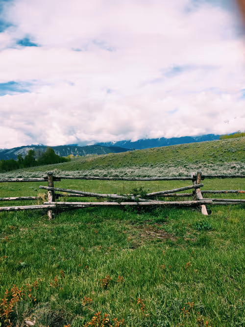 Item #38636187015463482433691281492566122321376547079854942751404297979503640051713 Media