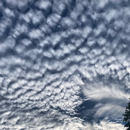 picturecards Collection