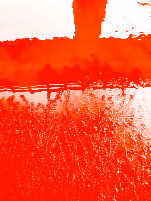 Item #98843954857266856101330559780238873570552098425130206222908041963778728787969 Media