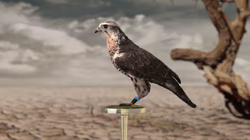 Item #5362693153686757663037229957776630052012240176014263673100968346501666308097 Media