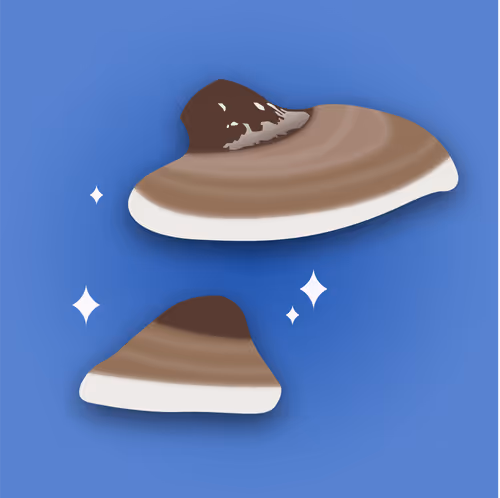 Item #53620360078498613901339183149326713416038543427946561370212888009707370840065 Media