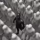 27044860133245640427744722602934654172469236008198595321627444238561612660737
