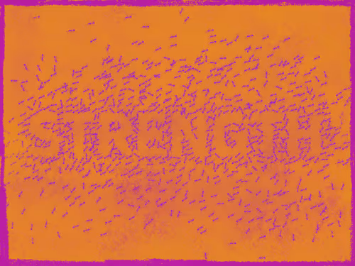 Item #14905628070922848497243539374949986756999099721774912703117802723507374653441 Media