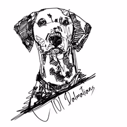 73400403877540553502223880377047479438719384571506436692256300103956309213185