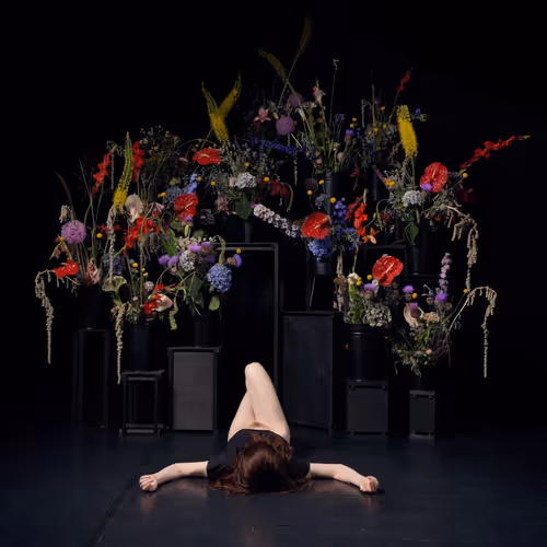 Item #29225512278462627521798648337765154625875213490195303772458487980149922856961 Media