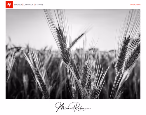 Item #29314157866463614573355053931398882925484977285626546525081320715355007483905 Media