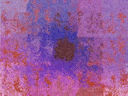 Item #98307814693560649557037634651649107179707965816509733753751623079387520303105 Media