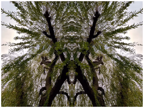 Item #39842122399831876294969041227459341578040195517803177153867578413230506115073 Media