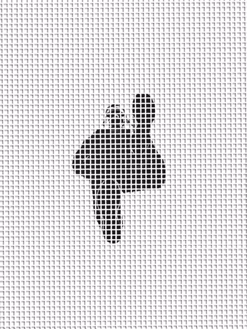 Item #33067130936866531056958588301110172652585761209986182408361100833187172450305 Media