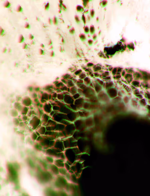 Item #71646257518770613568983710813551014237803002136866425209291833744819098746881 Media