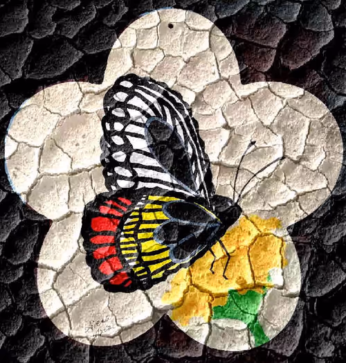 Item #95017265666542461648459459800095134934737867423771847917737234941860047224833 Media