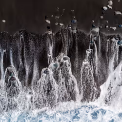 79655167907517619364713975577317788096264741034631426669771217894324521926657