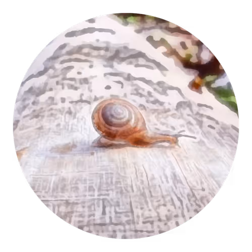 Item #73474911565276893363269127585336255498112534630235322163062143094144358154241 Media