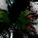9050991396078878530804497659870993705968162446836973774563467500411542306817
