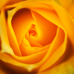 #1 Layers of Consciousness