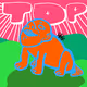 62252685859218239178403018272301671850054306191677627263739684624038189072385