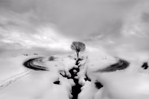 Item #73363223370355250909196244140857466626496998110185198638772903911432820621313 Media