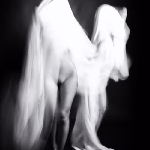 Basiltahanhumanspirits