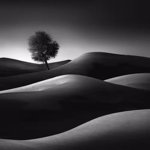 Item #108814857691029429230781820568210235490063919231059486623727012643181088997377 Media