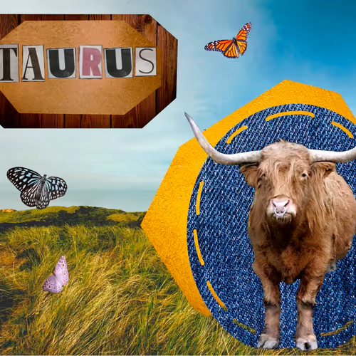 79953276177693510388209771106675904160277999829432452001796616754961378705420