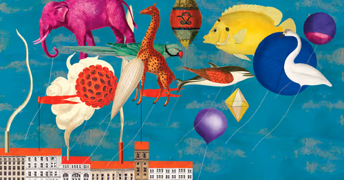 Item #39837860205319031893123637587070044917626634745530009203284418642623728713729 Media