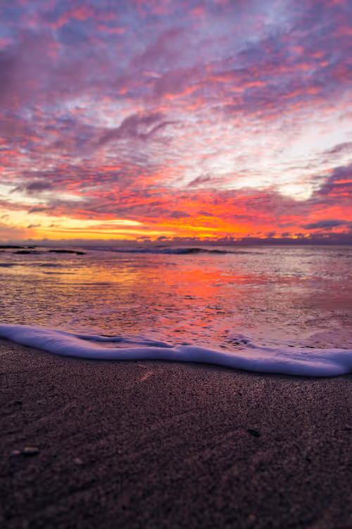 Item #111174009616639200000012101968861275422099781399944675221188828353699908681729 Media