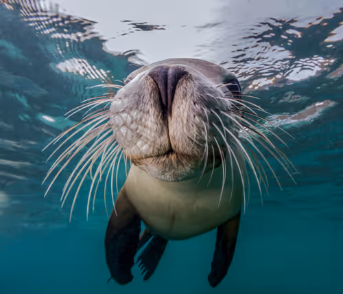 Item #3147264944406700661199990101931342713286422144963427559940462060054853451777 Media