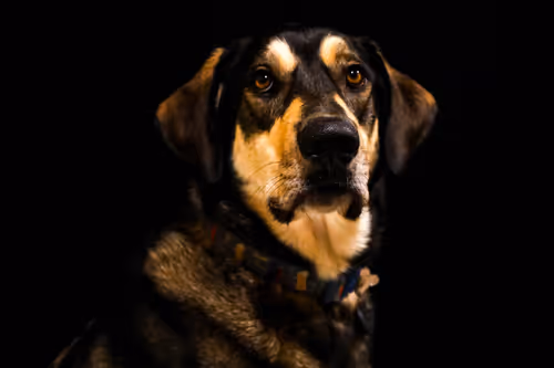 Item #19684374529110288056520570276703370007863893692966726326193838153677789986817 Media