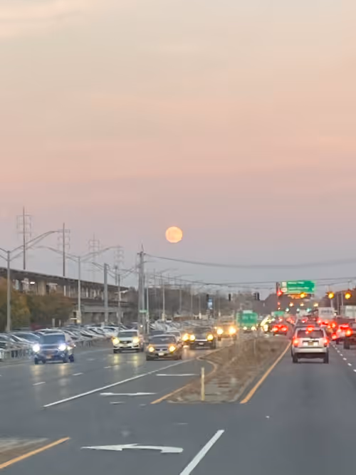 Item #112539480559386879026718304796177303960672733391150842661969334719266871574529 Media