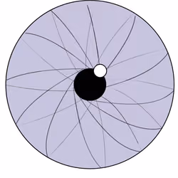 Vortex