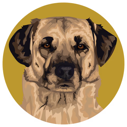 Item #54766349128176429303044182404049584425310907481653304317570413916638681235457 Media