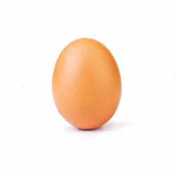 egg #1